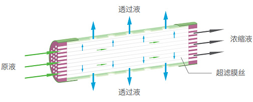 MG不朽情缘(中国区)官方网站